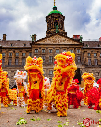 100 Lions in Amsterdam | #1