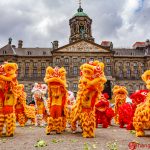 100 Lions in Amsterdam | #1