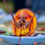 Chinese restaurant Oceania | Amsterdam | The Netherlands | Lobster